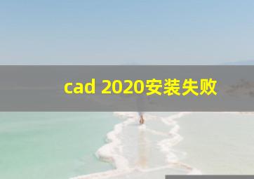 cad 2020安装失败